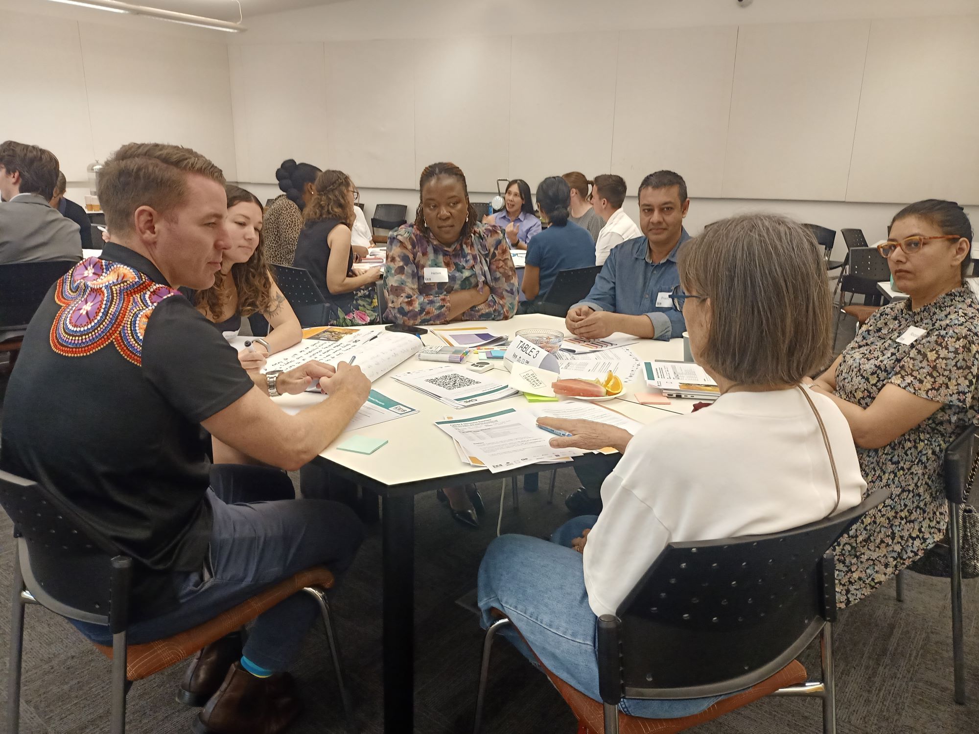 2025 NHMRC Roundtables 4